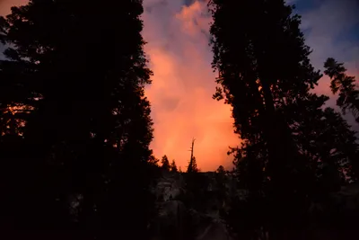 DSC_0095 (Large).JPG